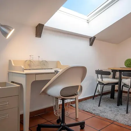 Central And Bright Temporal Penthouse Madrid Center Myr137C-2
